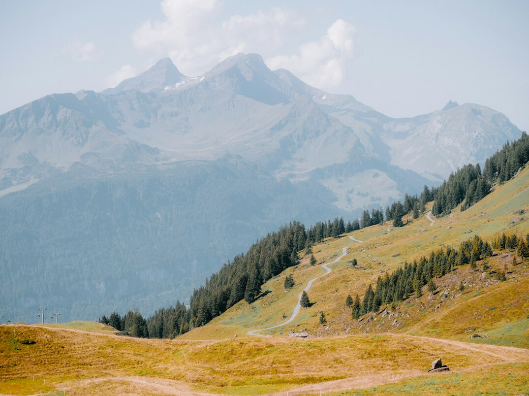 swiss green valley
