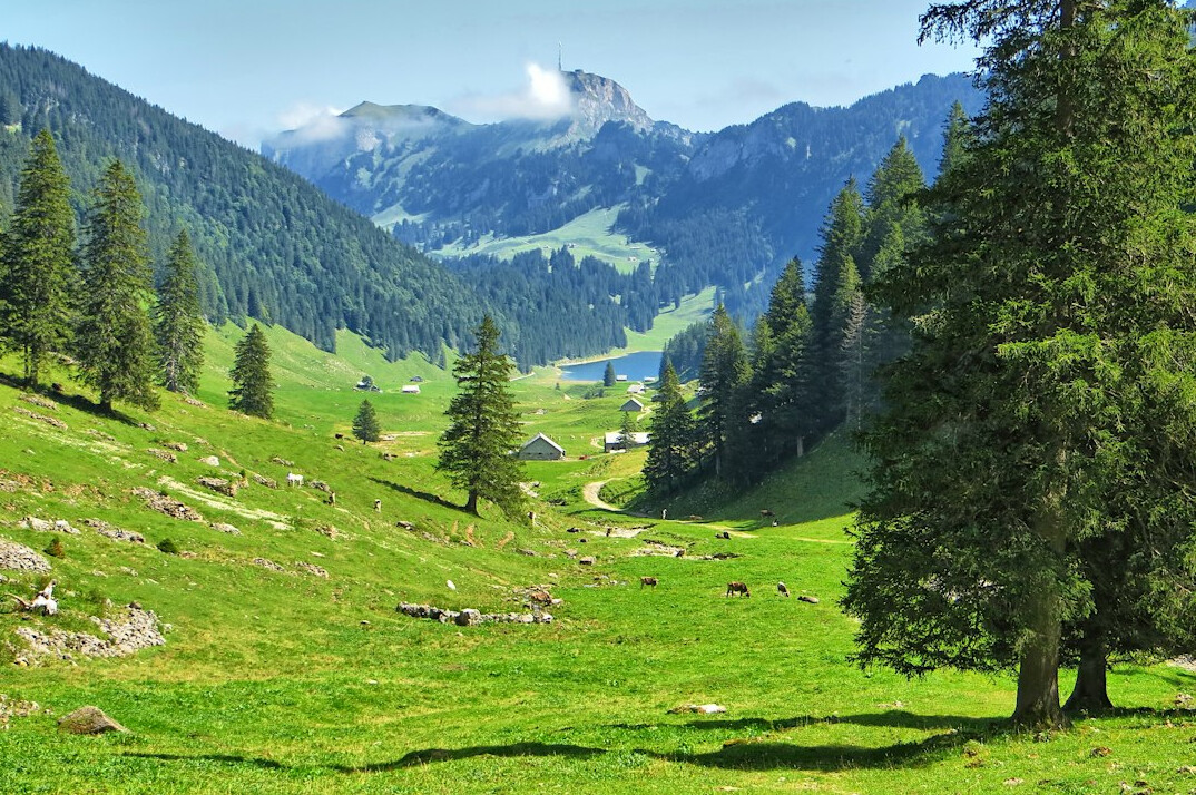 swiss alps landscape