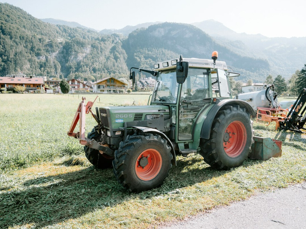 swiss village green