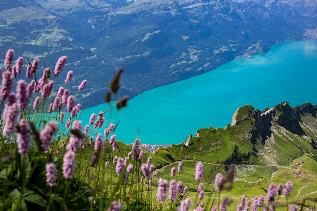 swiss lake view